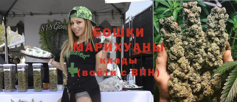 Бошки марихуана White Widow  Касимов 